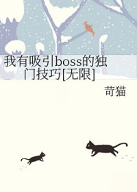 我有吸引boss的独门技巧[无限]