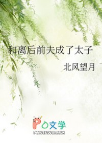 和离后前夫成了太子
