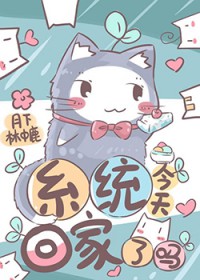 系统今天回家了吗