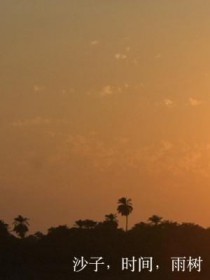 沙子，时间，雨树
